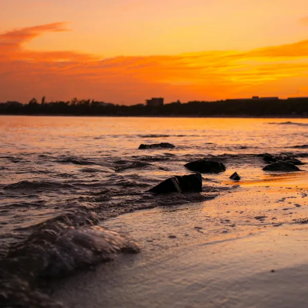 Holbox: Arena & Atardeceres