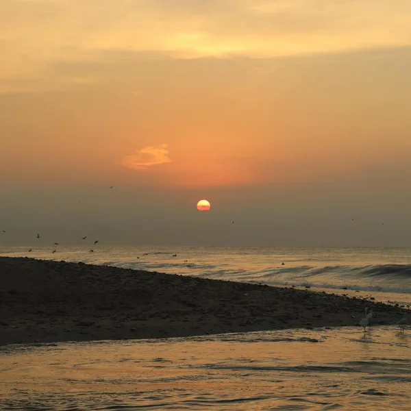 Huatulco Bahías & Snorkel