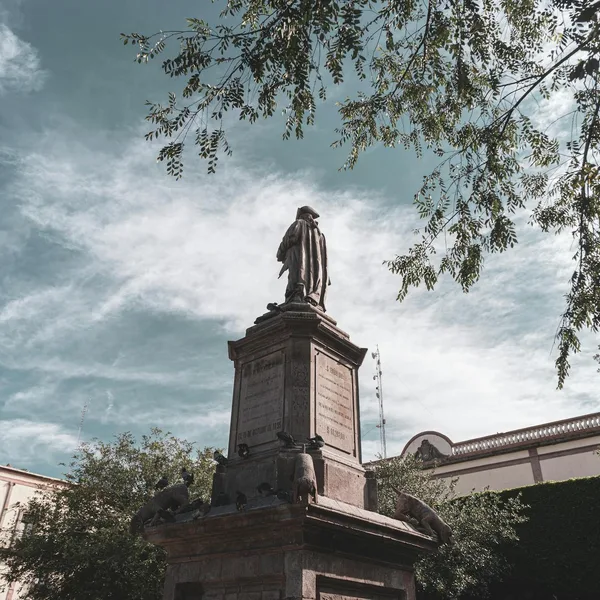 Querétaro Centro & Viñedos