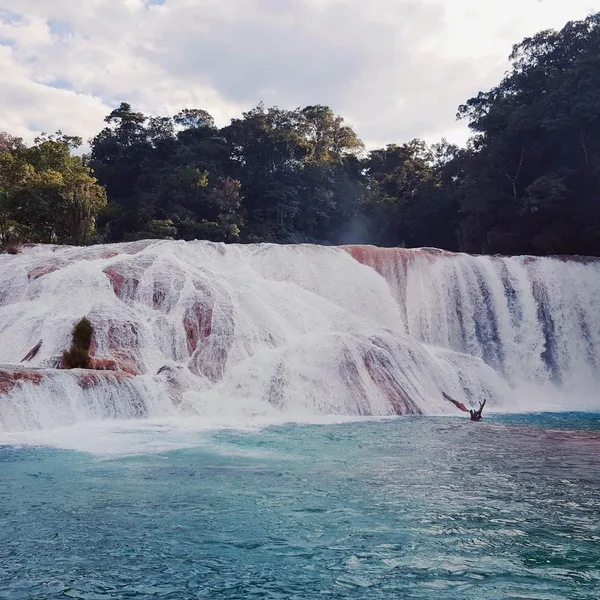 San Cristóbal: Coffee & Culture