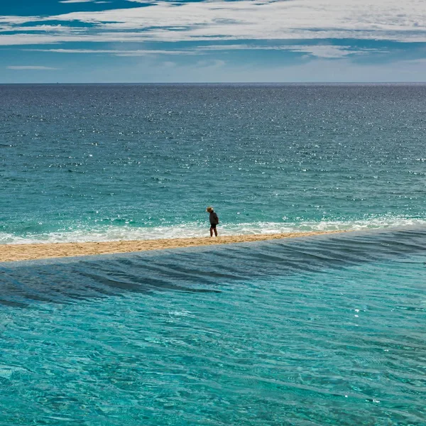 San José del Cabo Art Walk - Premium